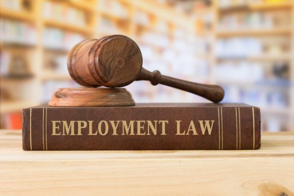 Employment, Commission And Brokerage Claims Attorney